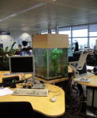  Aquarium Maintenance